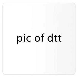 dog tag id